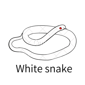 White snake