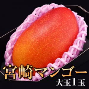 マンゴー☆飯田