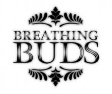 ならっぴー＠BUDS