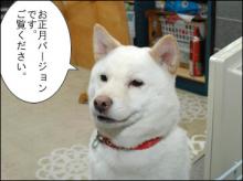 ビニール袋