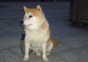 りぃ