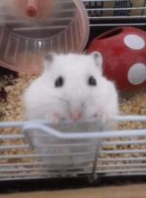 サンダル