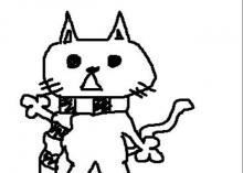 わふー