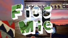 fics mie